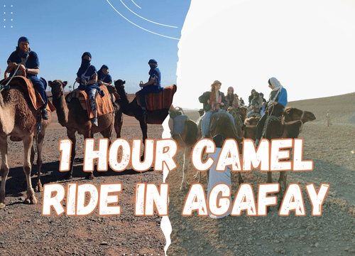 🐪 1 Hour Camel Ride in Agafay Desert from Marrakech